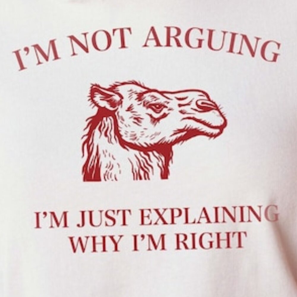 Meme Shirt, Funny Tshirt, Funny Meme Shirts - Picture 2 of 3